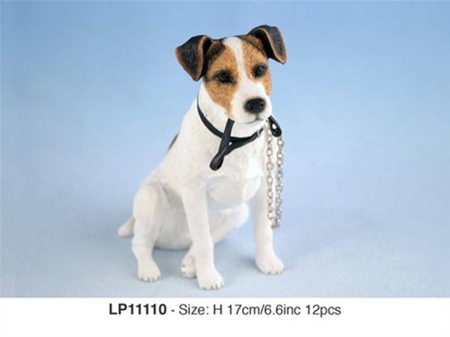 Jack russell terrier - russell,