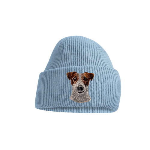 Jack russell terrier dog - jack,