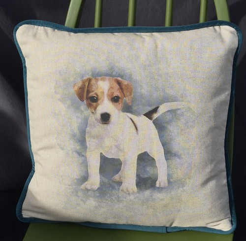 Jack russell velvet cushion - jack,