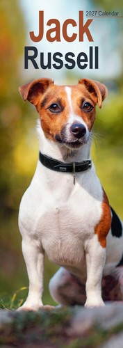 Jack russell slim 2027 - jack,