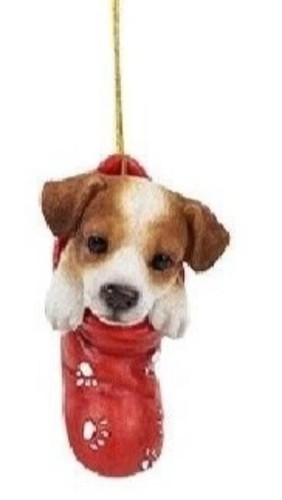 Jack russell christmas - jack,