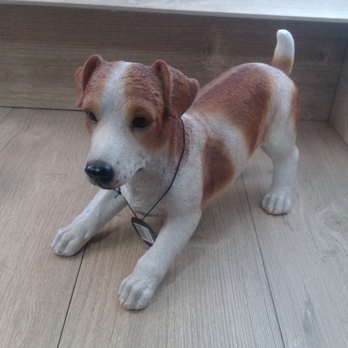 Jack russell vivid arts real - jack,