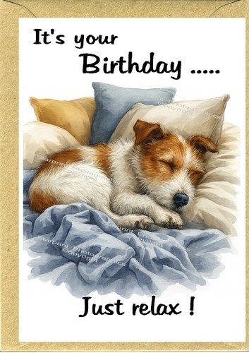 Jack russell terrier dog - terrier,