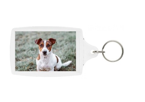 Jack russell terrier keyring - jack,