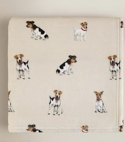 New jack russell - new, 🐕